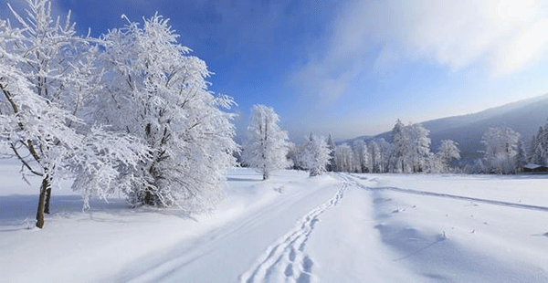 大雪夜襲，綜管保安全